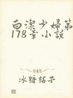 白洁少妇第1一178章小说封面