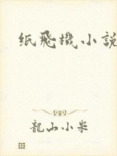 纸飞机小说