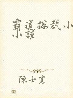 霸道总裁小娇妻小说封面