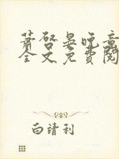 萧启晏晚意小说全文免费阅读封面