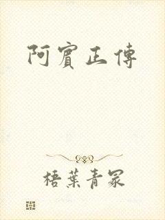 阿宾正传