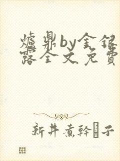 炉鼎by金银花露全文免费阅读笔趣阁