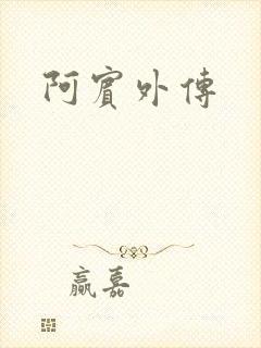 阿宾外传封面