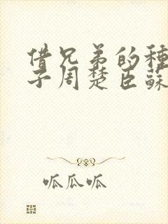 借兄弟的种生孩子周楚臣苏糖