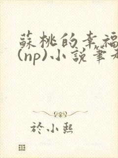 苏桃的幸福生活(np)小说笔趣阁沐沐