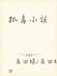 孤岛小说