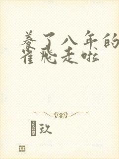 养了八年的金丝雀飞走啦