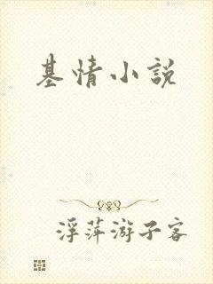 基情小说