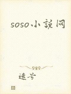 soso小说网