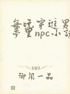每晚穿进男神的梦里npc小说