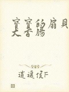 宝宝的扇贝想吃大香肠