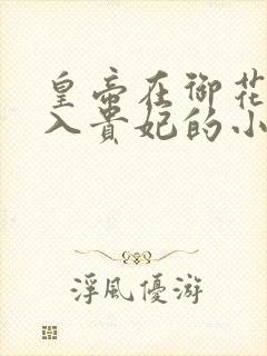 皇帝在御花园进入贵妃的小说