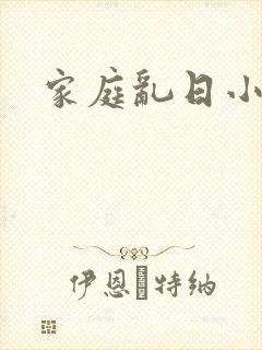 家庭乱日小说