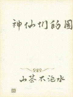 神仙们的团宠