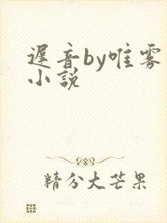 迟音by唯雾的小说