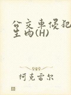 公交车侵犯小男生肉(H)