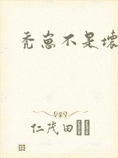 秃崽不是坏女人封面
