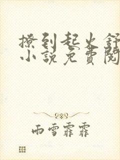 撩到起火舒漾的小说免费阅读全文封面