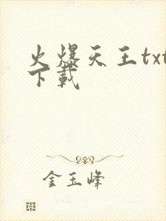 火爆天王txt下载