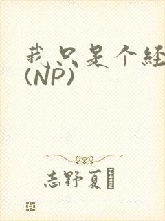 我只是个经纪人(NP)