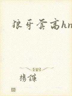 狼牙套高hnp