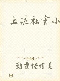 上流社会小说