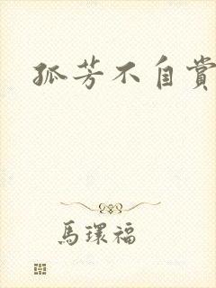 孤芳不自赏小说