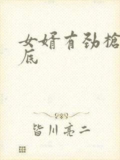 女婿有劲枪枪到底封面