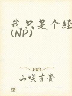 我只是个经纪人(NP)