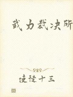 武力裁决所
