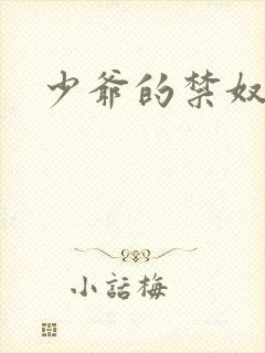 少爷的禁奴