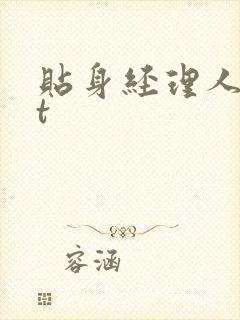 贴身经理人txt封面
