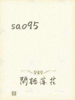 sao95封面