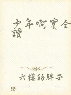少年啊宾全文阅读封面