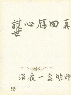 护心雁回真实身世