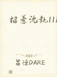 招惹沈执11h