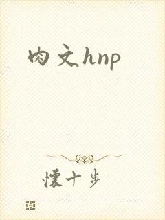 肉文hnp