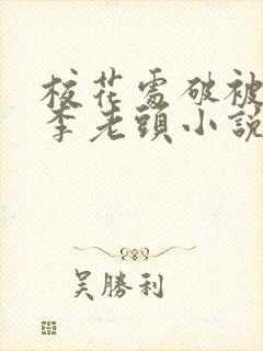 校花处破被灌满李老头小说