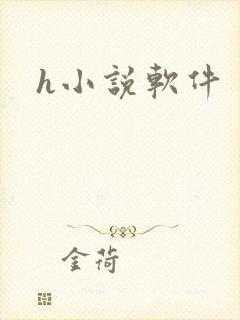 h小说软件