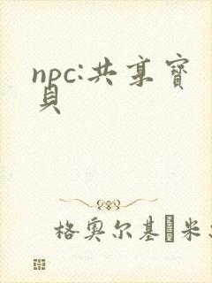 npc:共享宝贝