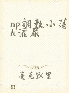 np调教小荡货h灌尿