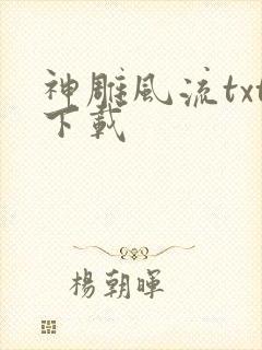 神雕风流txt下载