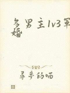 多男主1v3军婚