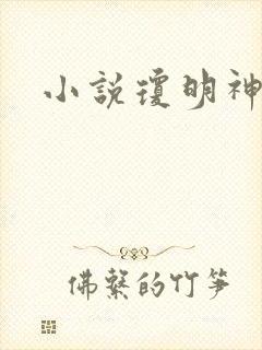 小说琼明神女录