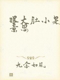 眼大肚小是什么意思