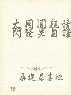大团圆亲情会闪闪发光目录