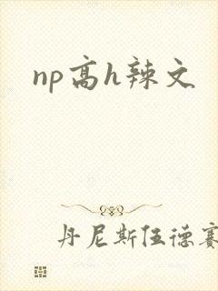 np高h辣文
