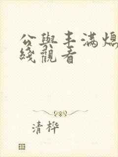 公与丰满熄4在线观看