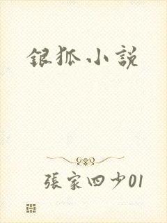银狐小说