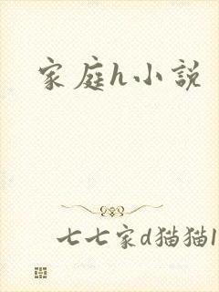 家庭h小说封面